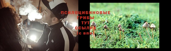 jwh Козловка