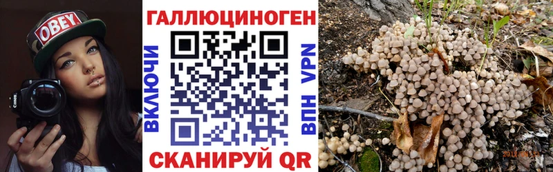 Псилоцибиновые грибы Psilocybine cubensis  Купить закладки  Дмитровск 
